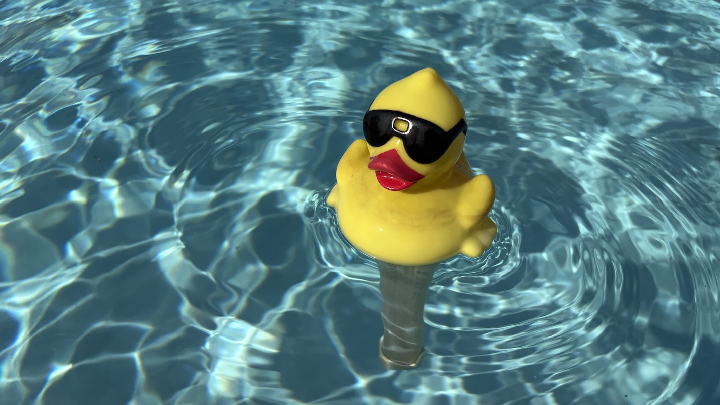 Pool duck